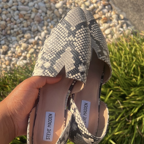 Steve Madden Snake-print Leather Flats - Picture 3 of 6